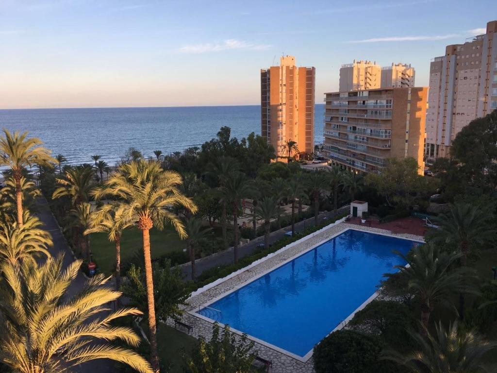 Alicante Plage Muchavista Vu Mer Piscine ,Wifi Екстериор снимка